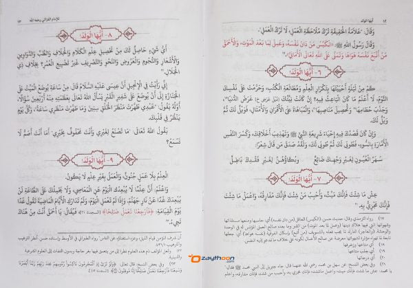 Ayyuhal Valadh أيّها الولد