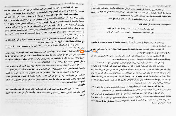 Ashvaaq Va Haneen Ila Madheenathi Rasoolil Ameen أشواق وحنين إلى مدينة الرسول الأمين