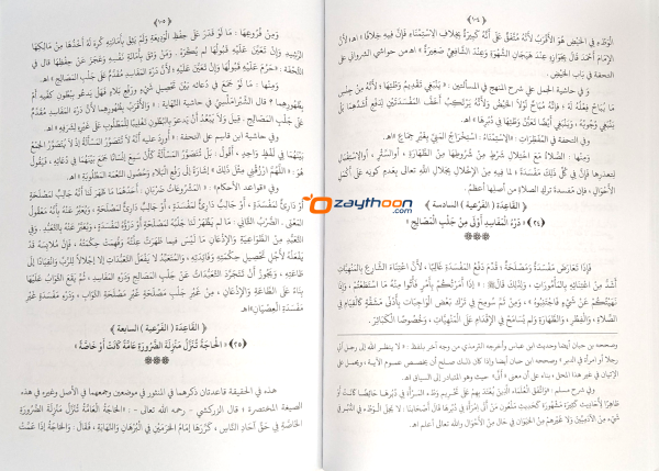 Ishbah al Basahir bi isarati al Ashvah va Nalahir إشباع البصائر بعصارة الأشباه والنظائر