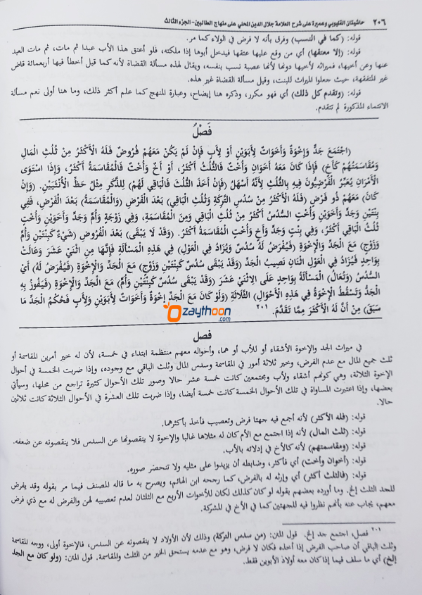 Mahalli – Kalyoobi va Umayrra – 3 حاشيتان القليوبى وعميرة الجزء الثالث