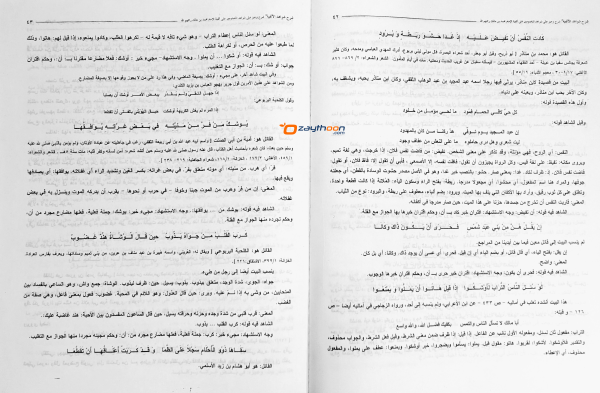 Sharah Shavaahidul Alfiya شرح شواهد الألفية