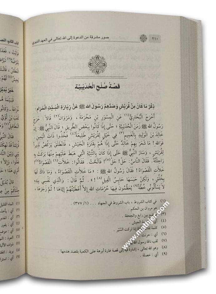 صور مشرقة من الدعوة إلى الله تعالى في العهد النبوي – ابن كثير