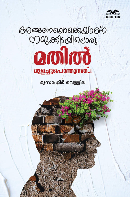 അങ്ങനെയൊക്കെയാണ് നമുക്കിടയിലൊരു മതിൽ മുളച്ചുപൊന്തുന്നത്..!
