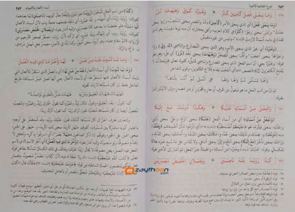 Sharah al Khulasath al Alfiya شرح الخلاصة الالفية