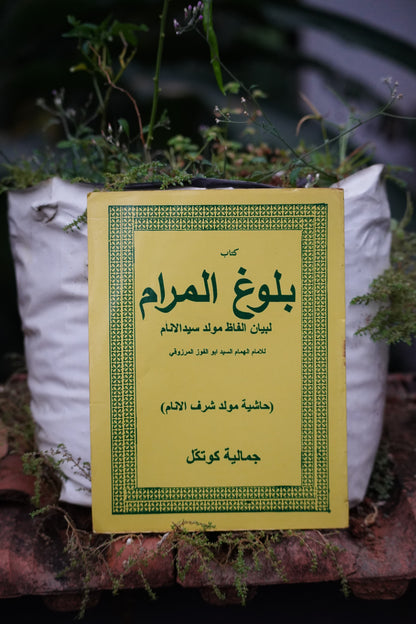 بلوغ المرام (Buloogh Al-Maram) by الإمام السيد أبو الفضل المرزوقي