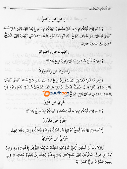 Ihaasathul Khiraan Fi Usooli Zanjaan إغاثة الحيران في أصول الزّنجاني