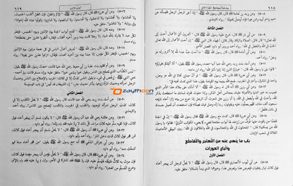 Mishkath Al Masabeeh Juz 2 مشكاة المصابيح الجزء الثاني
