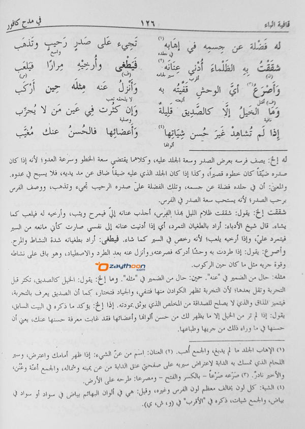 Deewanul Muthanabbi الدّيوان للمتنبّي
