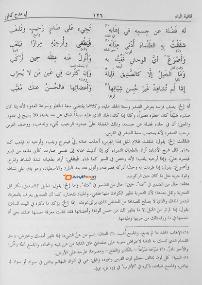 Deewanul Muthanabbi الدّيوان للمتنبّي
