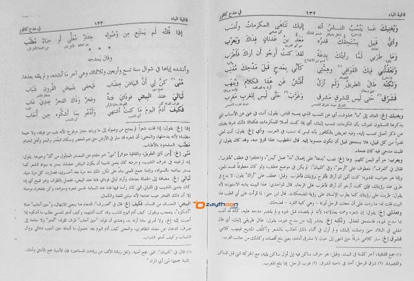Deewanul Muthanabbi الدّيوان للمتنبّي