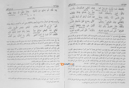 Deewanul Muthanabbi الدّيوان للمتنبّي