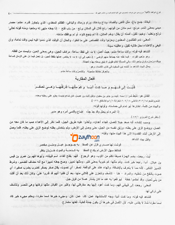 Sharah Shavaahidul Alfiya شرح شواهد الألفية