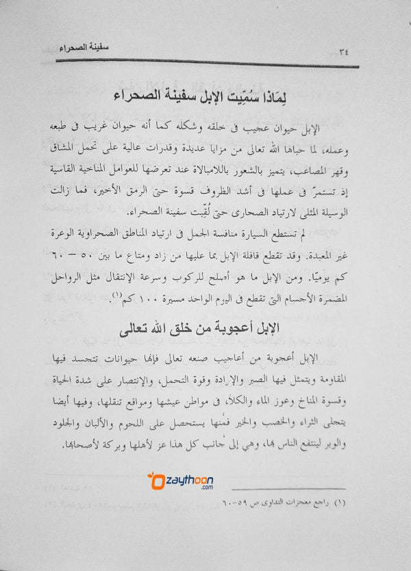 Safeenath Al Sahrah سفينة الصحراء