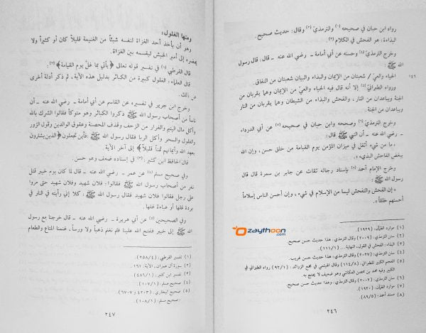 Tanbih Al Ghafilin An Aamaal Al jahilin تنبيه الغافلين عن اعمال الجاهلين