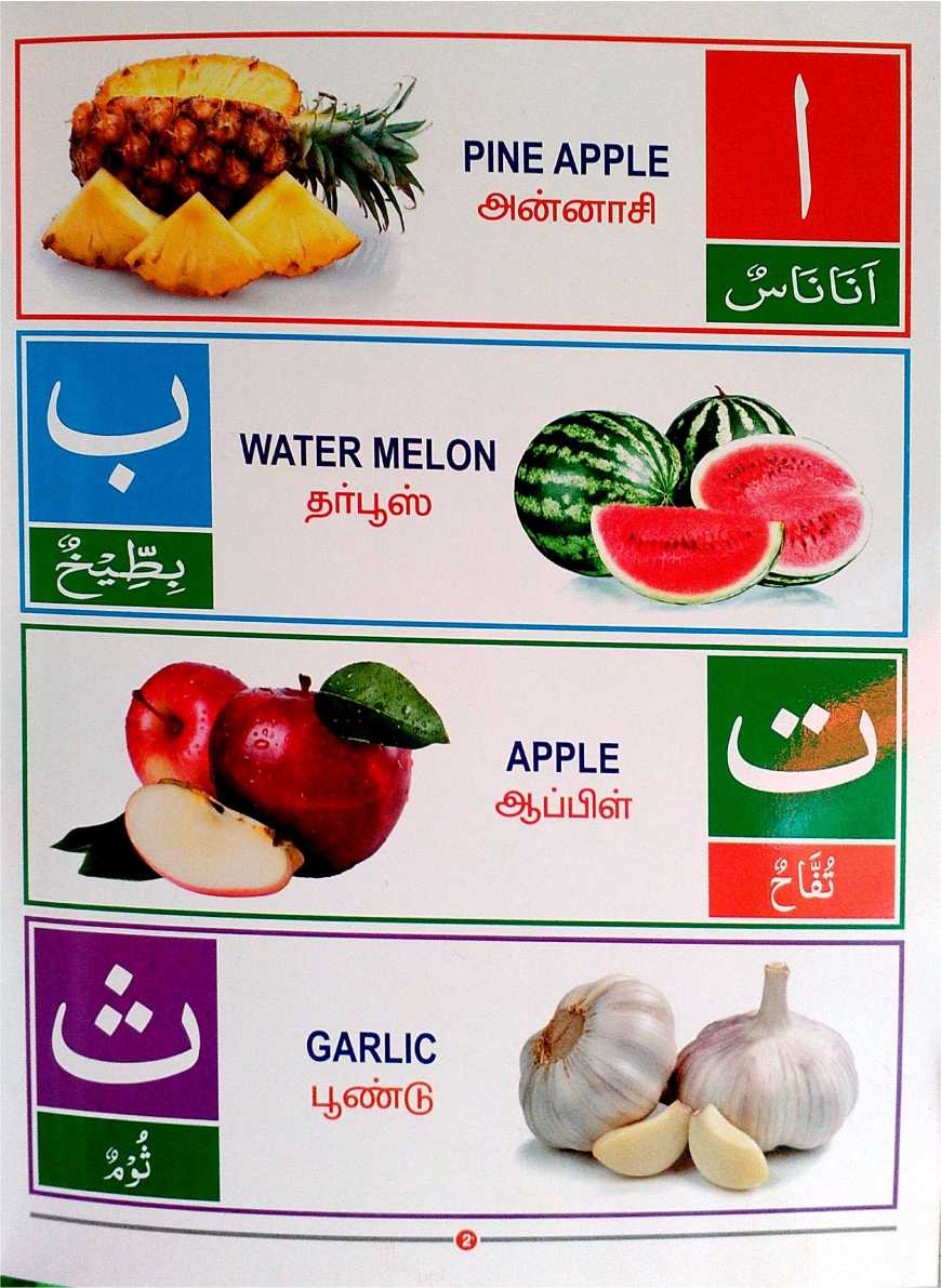 Arabic Alphabets (Arabi Elutthukkal) S.P