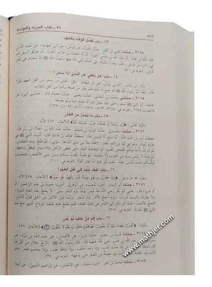 صحيح البخاري – دار الكتب العلمية