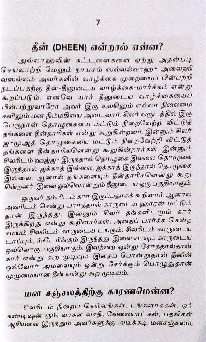 Amalkalin Sirappu (Small)